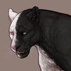 [Jaglion] Chimera (White/Black)
